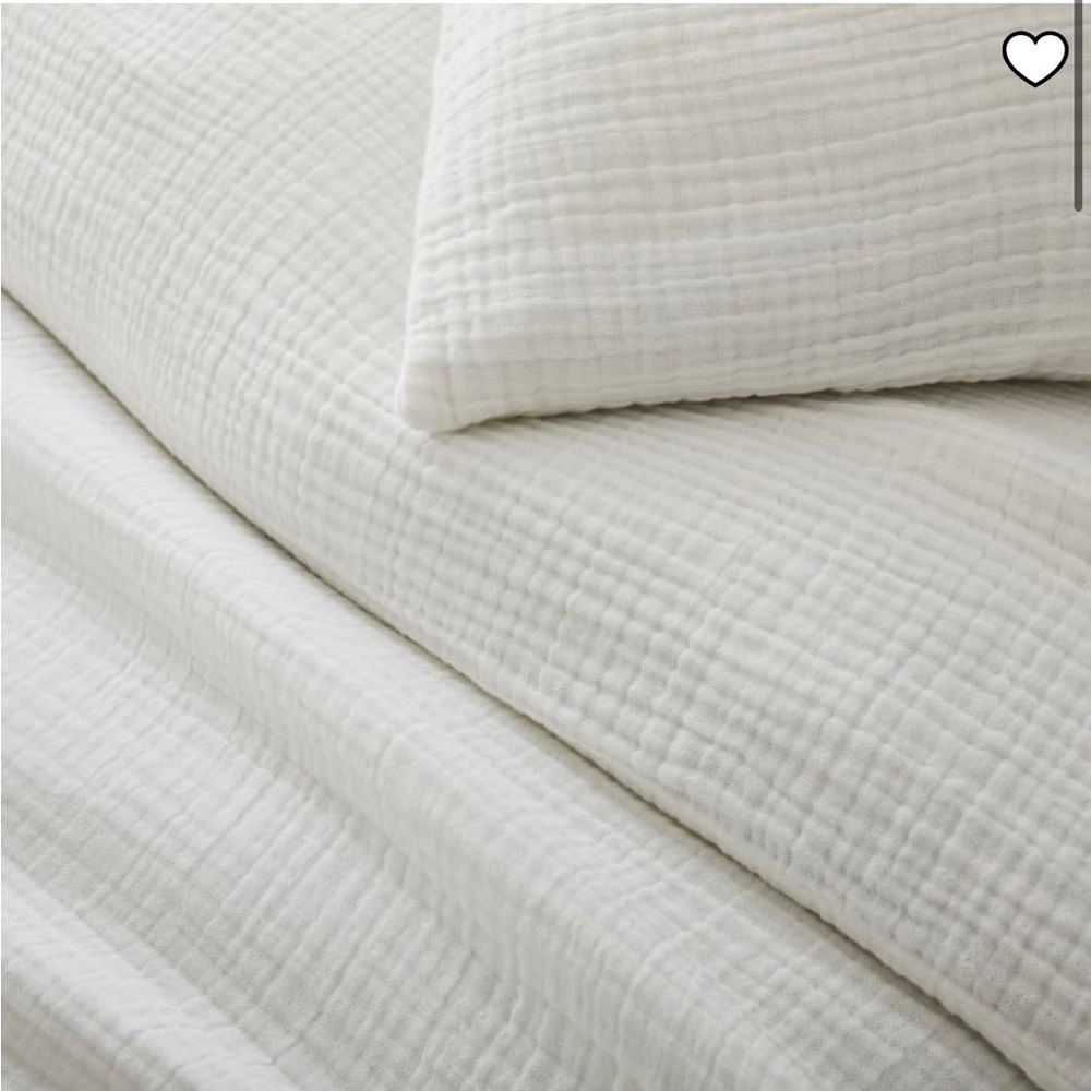 West Elm Dreamy Cotton Gauze King Shams (2) | White